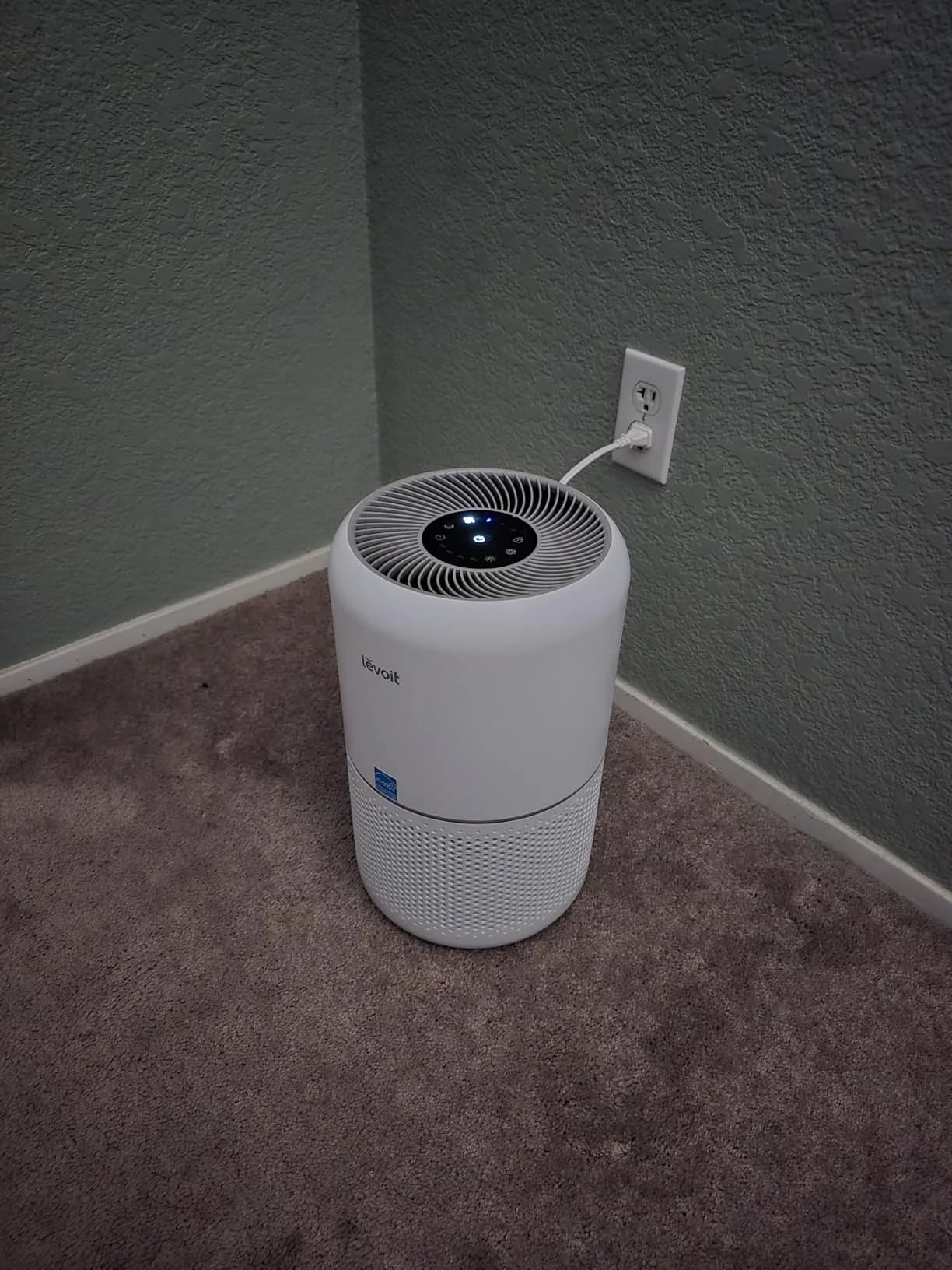 LEVOIT Core 300-P Air Purifier Review