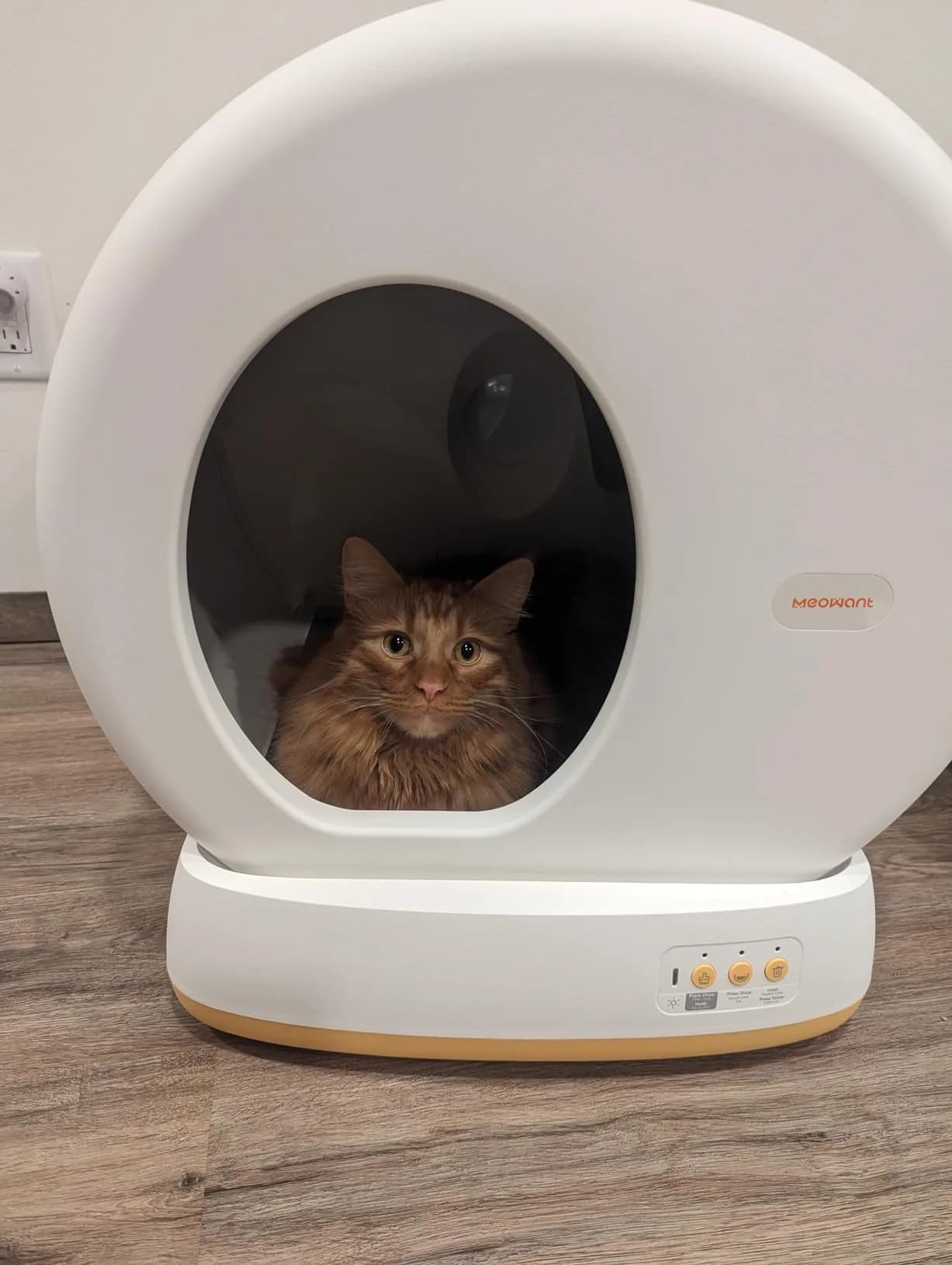 MeoWant Self-Cleaning Cat Litter Box Review: Is It Worth It? thumbnail 4