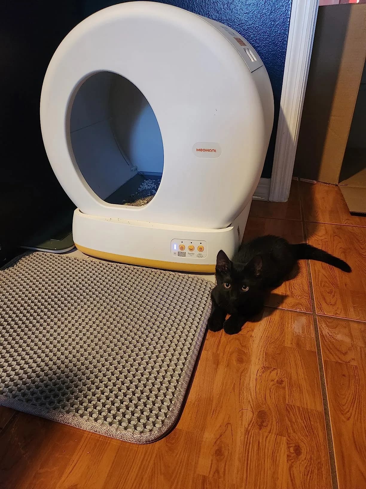 MeoWant Self-Cleaning Cat Litter Box Review: Is It Worth It? thumbnail 3